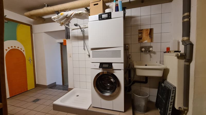 Spacieuse maison avec jardin, écurie, grange / Geräumiges Haus mit Garten, Stall, Scheune (25)