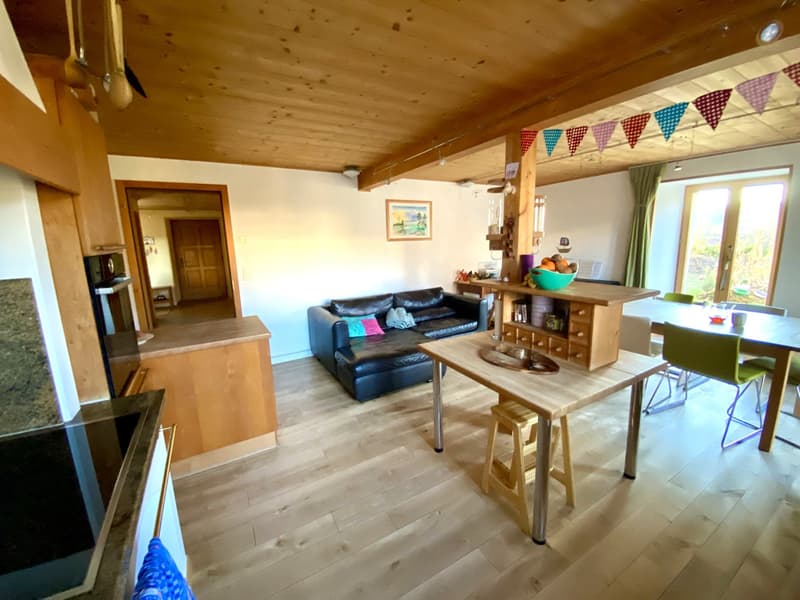 Spacieuse maison avec jardin, écurie, grange / Geräumiges Haus mit Garten, Stall, Scheune (19)