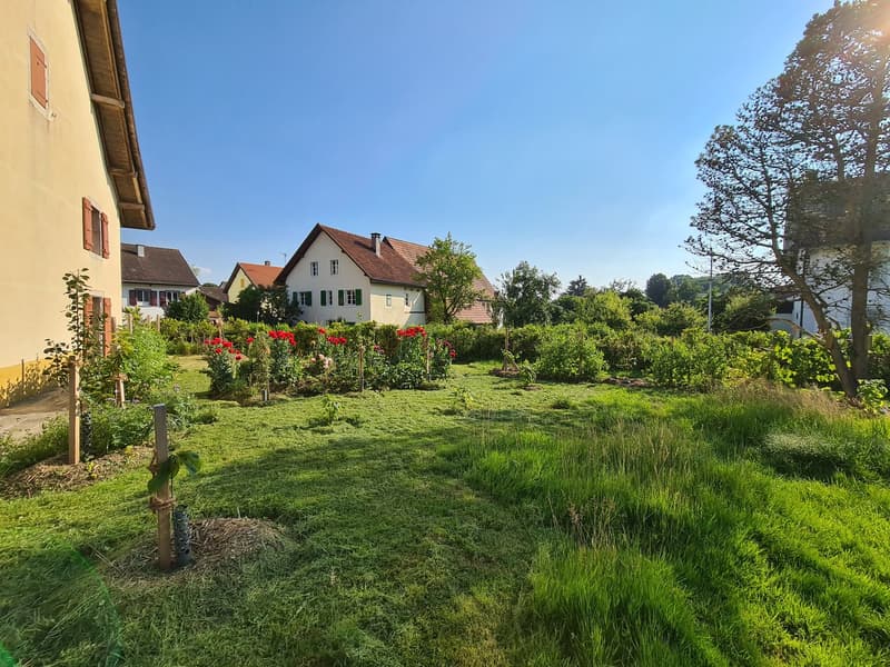 Spacieuse maison avec jardin, écurie, grange / Geräumiges Haus mit Garten, Stall, Scheune (8)