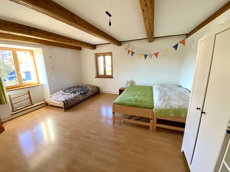 Spacieuse maison avec jardin, garage, grange / Geräumiges Haus mit Garten, Garage, Scheune (32)