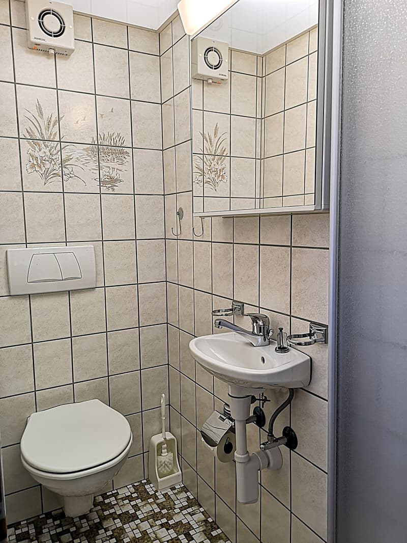 Magnifique maison individuelle de 7 pièces à la Montagne de Moutier (1130m) (36)