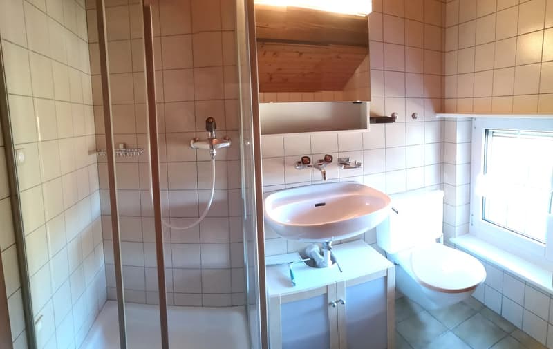 Magnifique maison individuelle de 7 pièces à la Montagne de Moutier (1130m) (55)