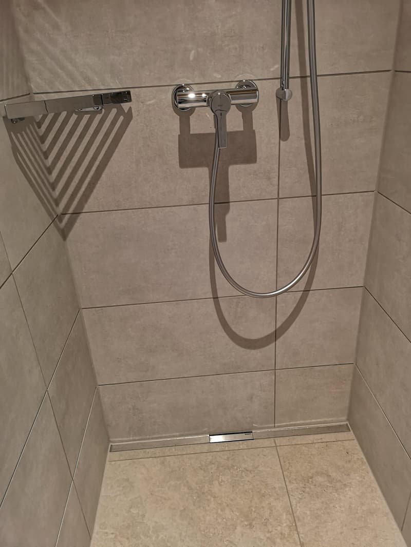 Grande maison moderne en madrier massif avec panneaux solaires, libre de suite (28)