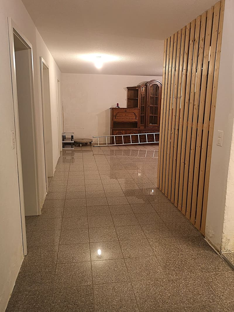 Baisse de prix : maison avec deux appartements loués et un appartement pour le propriétaire (47)