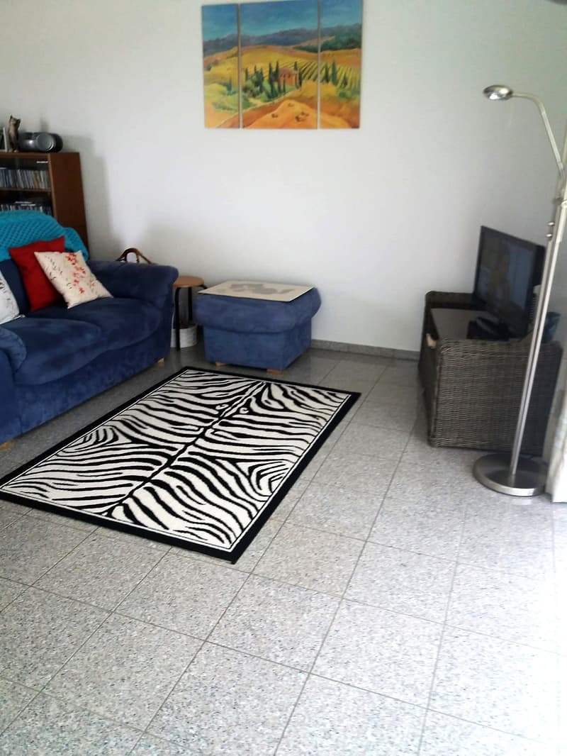 Baisse de prix : maison avec deux appartements loués et un appartement pour le propriétaire (41)