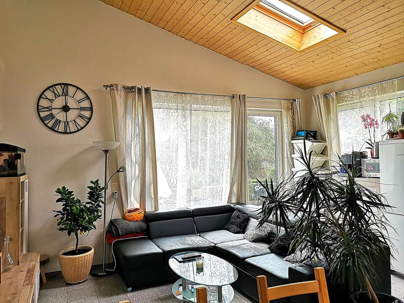 Baisse de prix : maison avec deux appartements loués et un appartement pour le propriétaire (30)