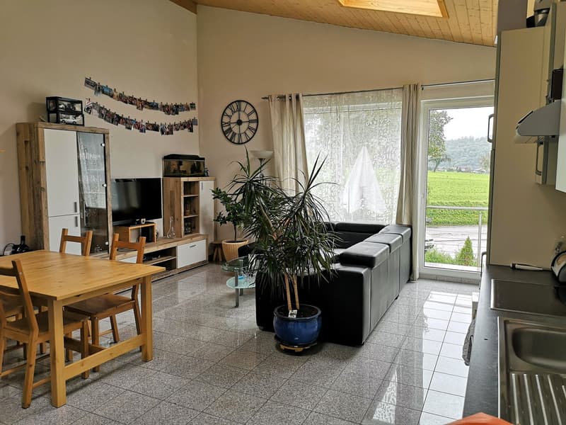 Baisse de prix : maison avec deux appartements loués et un appartement pour le propriétaire (29)