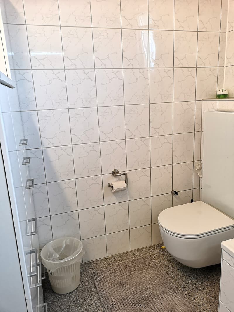Baisse de prix : maison avec deux appartements loués et un appartement pour le propriétaire (26)