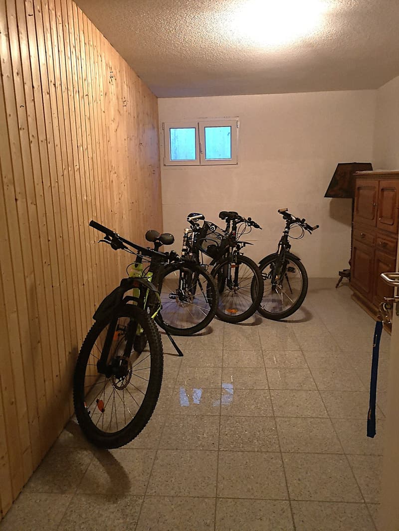 Baisse de prix : maison avec deux appartements loués et un appartement pour le propriétaire (51)