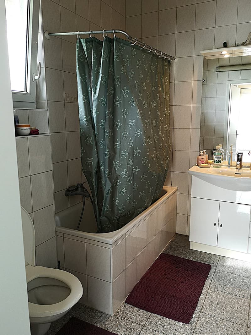 Baisse de prix : maison avec deux appartements loués et un appartement pour le propriétaire (35)