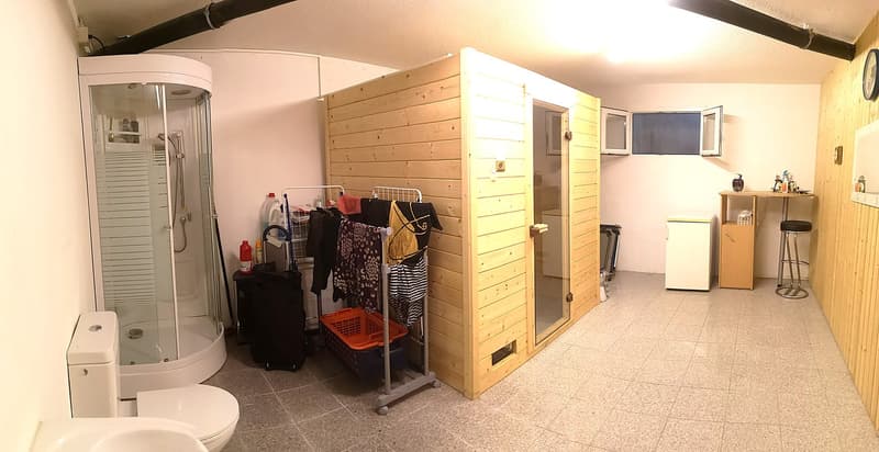 Baisse de prix : maison avec deux appartements loués et un appartement pour le propriétaire (49)
