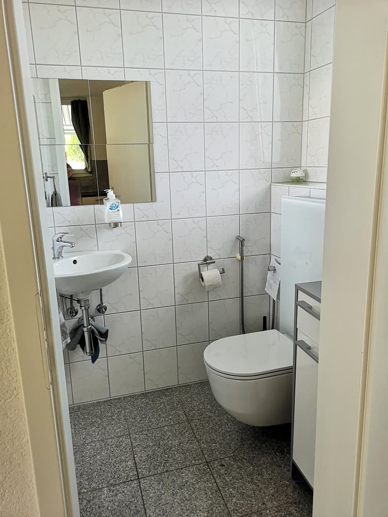 Baisse de prix : maison avec deux appartements loués et un appartement pour le propriétaire (11)