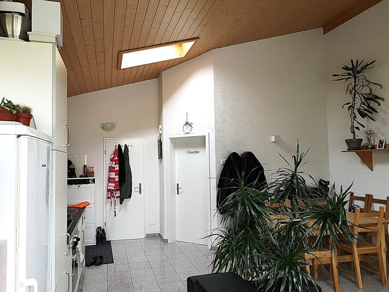 Baisse de prix : maison avec deux appartements loués et un appartement pour le propriétaire (31)