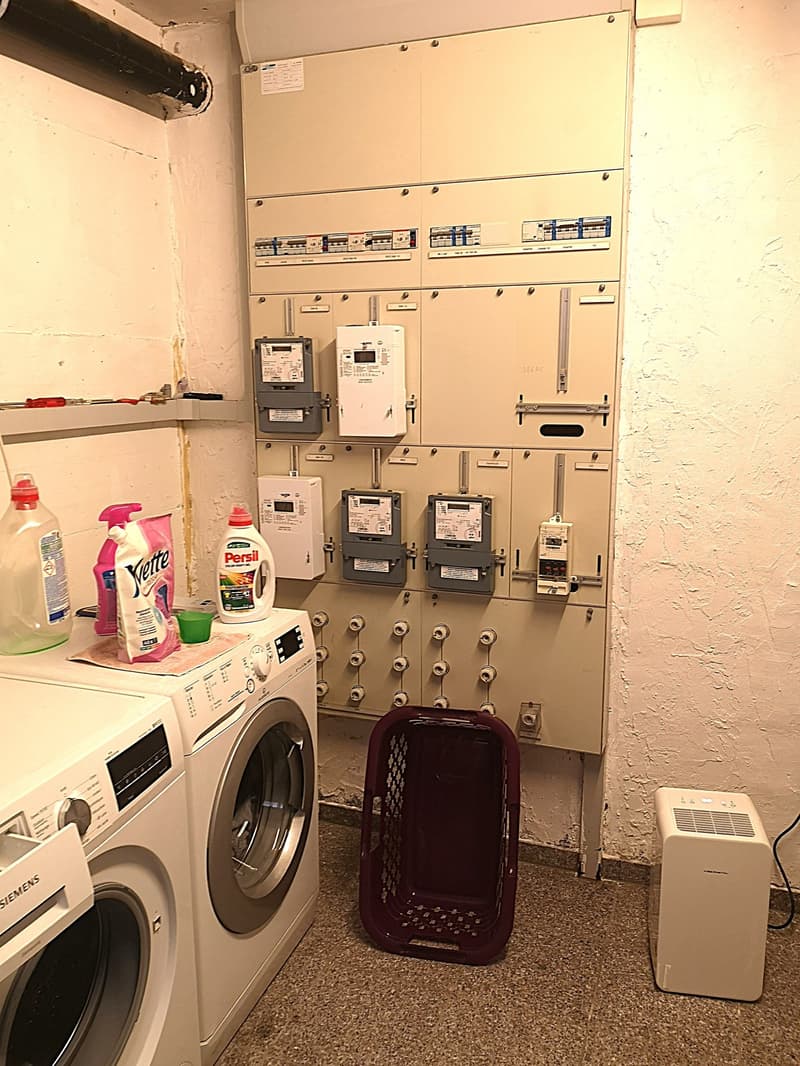 Baisse de prix : maison avec deux appartements loués et un appartement pour le propriétaire (45)
