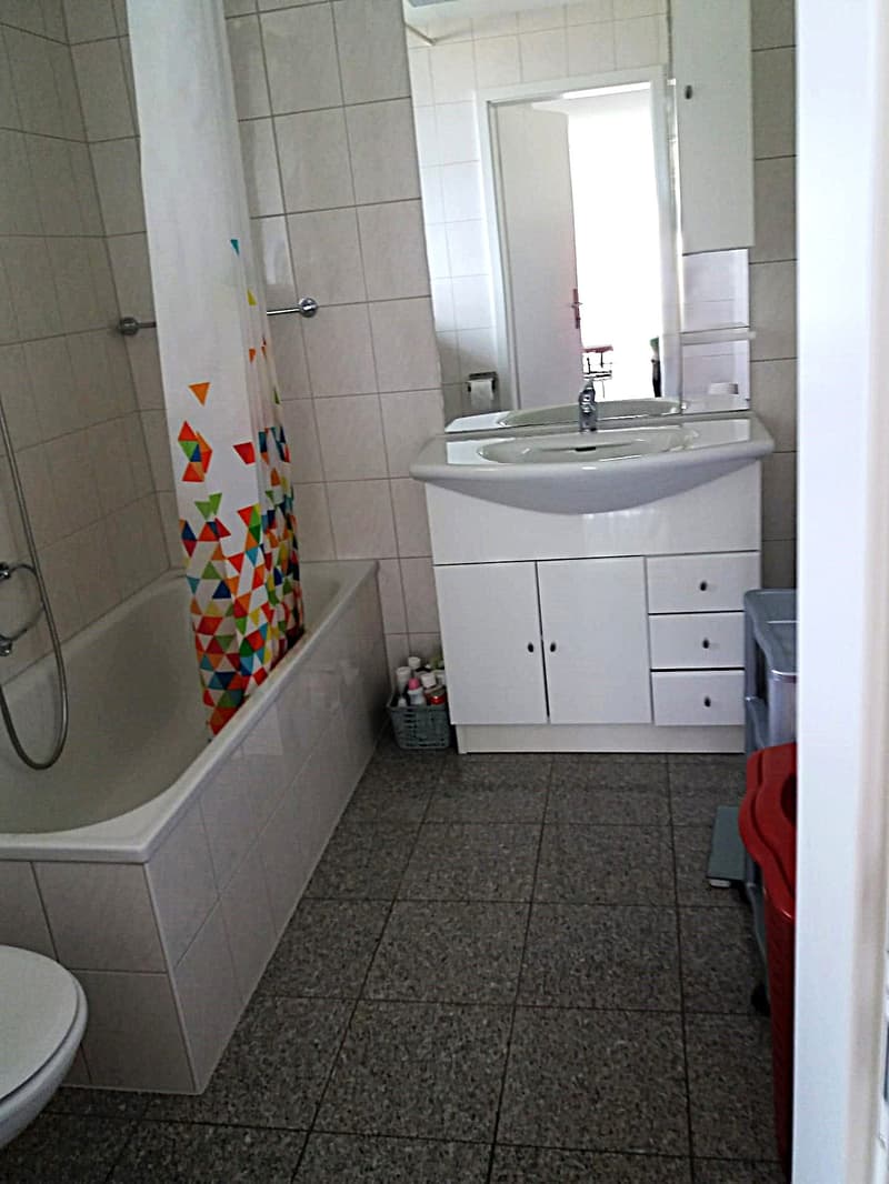 Baisse de prix : maison avec deux appartements loués et un appartement pour le propriétaire (43)