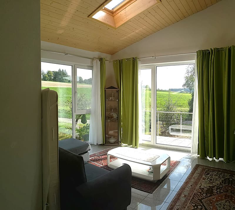 Baisse de prix : maison avec deux appartements loués et un appartement pour le propriétaire (20)