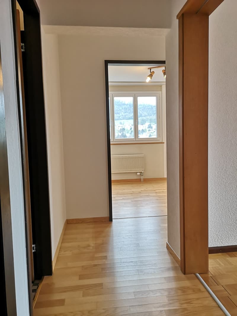 A vendre à Delémont : appartement 3.5 pièces, avec garage privé, vue sur la ville (15)