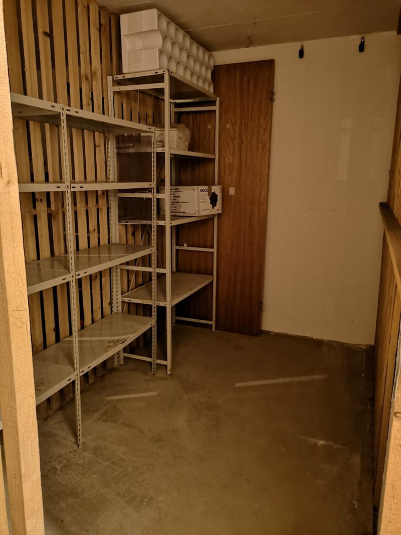 A vendre à Delémont : appartement 3.5 pièces, avec garage privé, vue sur la ville (24)