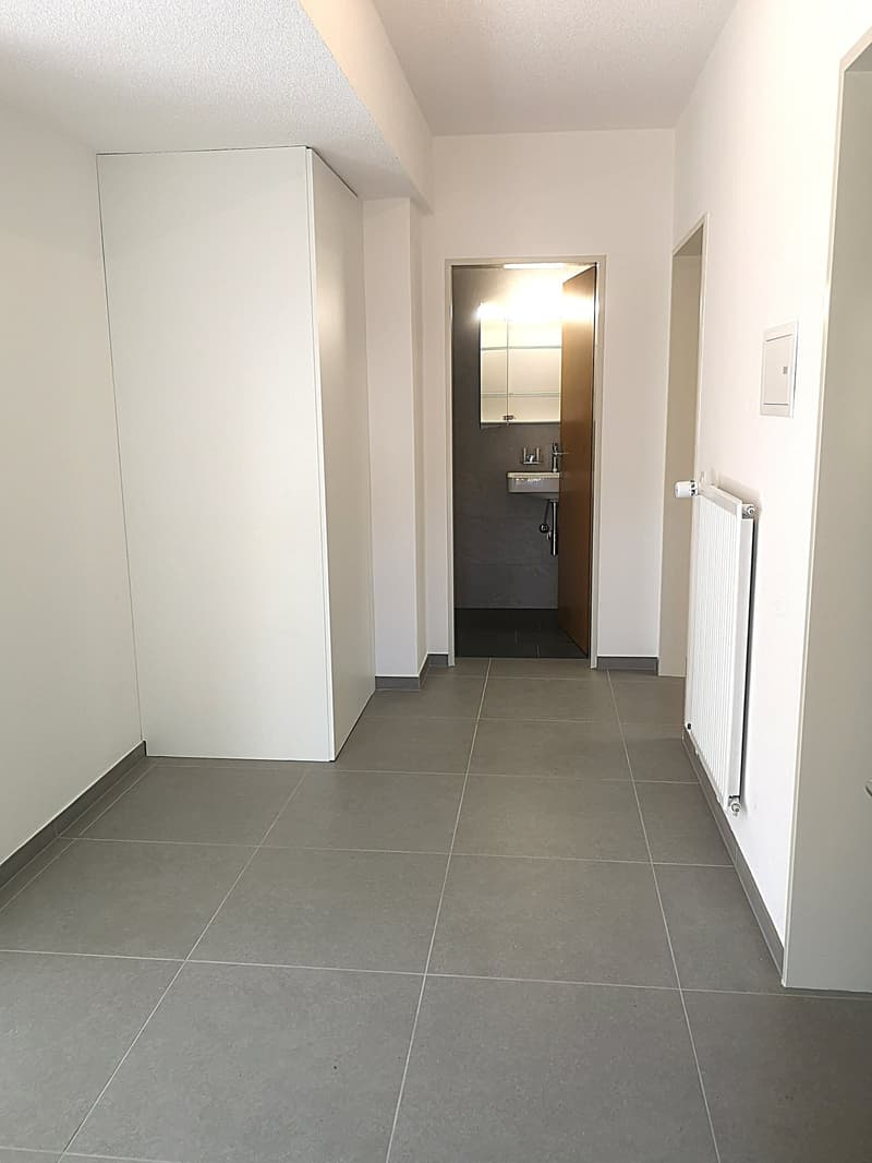 A vendre à Moutier appartement avec terrasse, rénové complètement en 2024 (5)