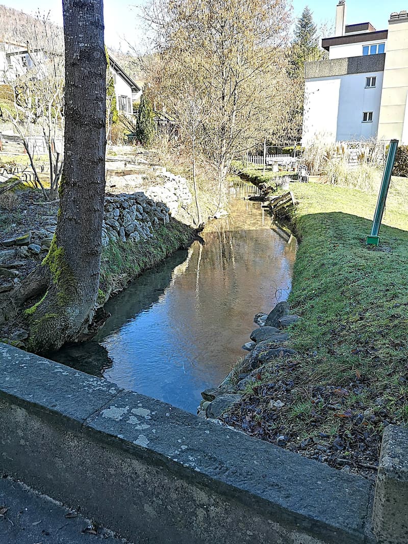 A vendre à Moutier appartement avec terrasse, rénové complètement en 2024 (16)