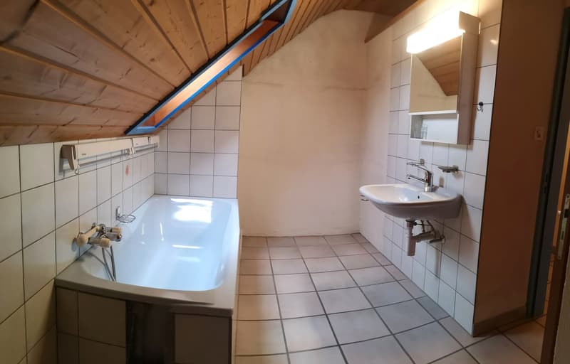 Baisse de prix : grand duplex au centre du village avec garage et atelier, libre de suite (19)