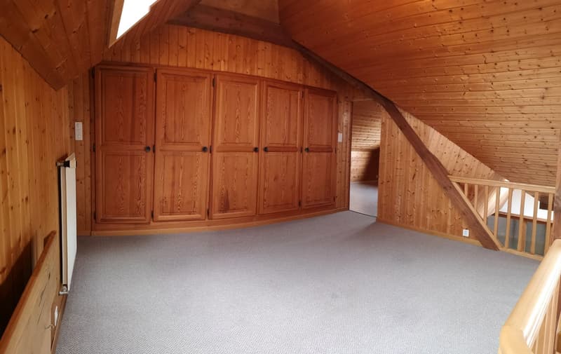 Baisse de prix : grand duplex au centre du village avec garage et atelier, libre de suite (26)