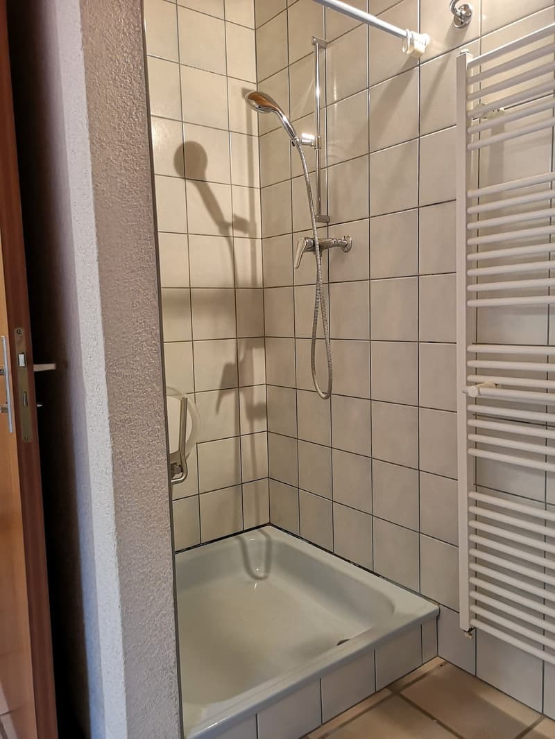 Baisse de prix : grand duplex au centre du village avec garage et atelier, libre de suite (21)