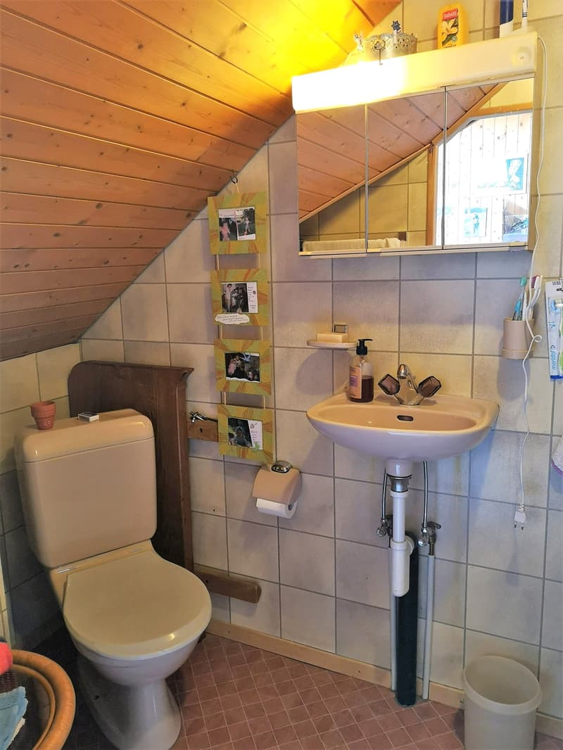 Baisse de prix : grand duplex au centre du village avec garage et atelier, libre de suite (14)