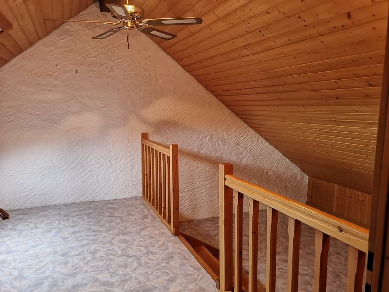Baisse de prix : grand duplex au centre du village avec garage et atelier, libre de suite (30)