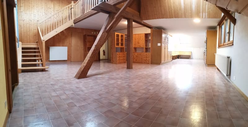 Baisse de prix : grand duplex au centre du village avec garage et atelier, libre de suite (8)
