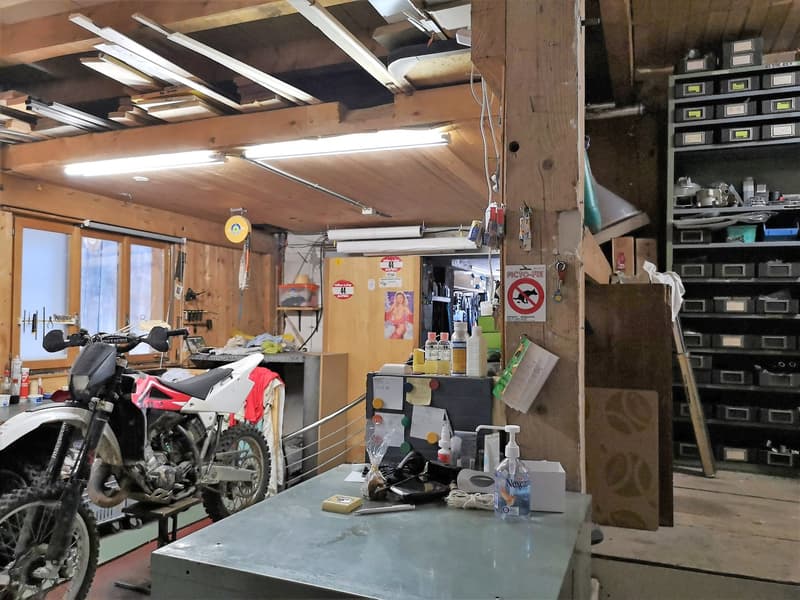 Baisse de prix : grand duplex au centre du village avec garage et atelier, libre de suite (7)