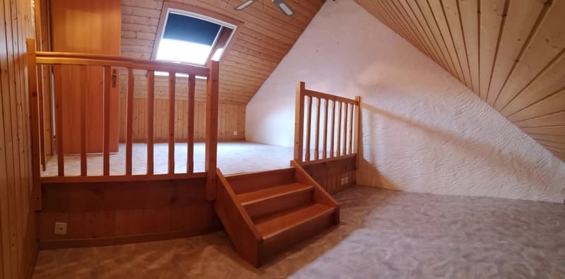 Baisse de prix : grand duplex au centre du village avec garage et atelier, libre de suite (28)