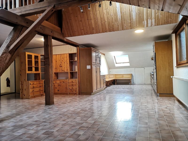Baisse de prix : grand duplex au centre du village avec garage et atelier, libre de suite (9)