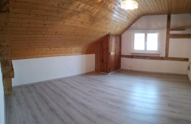Baisse de prix : grand duplex au centre du village avec garage et atelier, libre de suite (22)