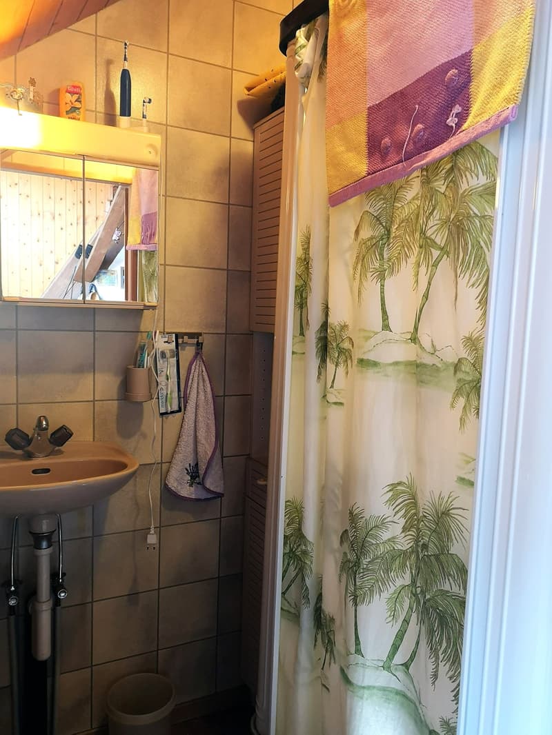 Baisse de prix : grand duplex au centre du village avec garage et atelier, libre de suite (15)