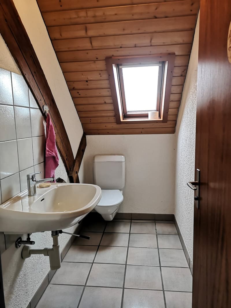 Baisse de prix : grand duplex au centre du village avec garage et atelier, libre de suite (18)
