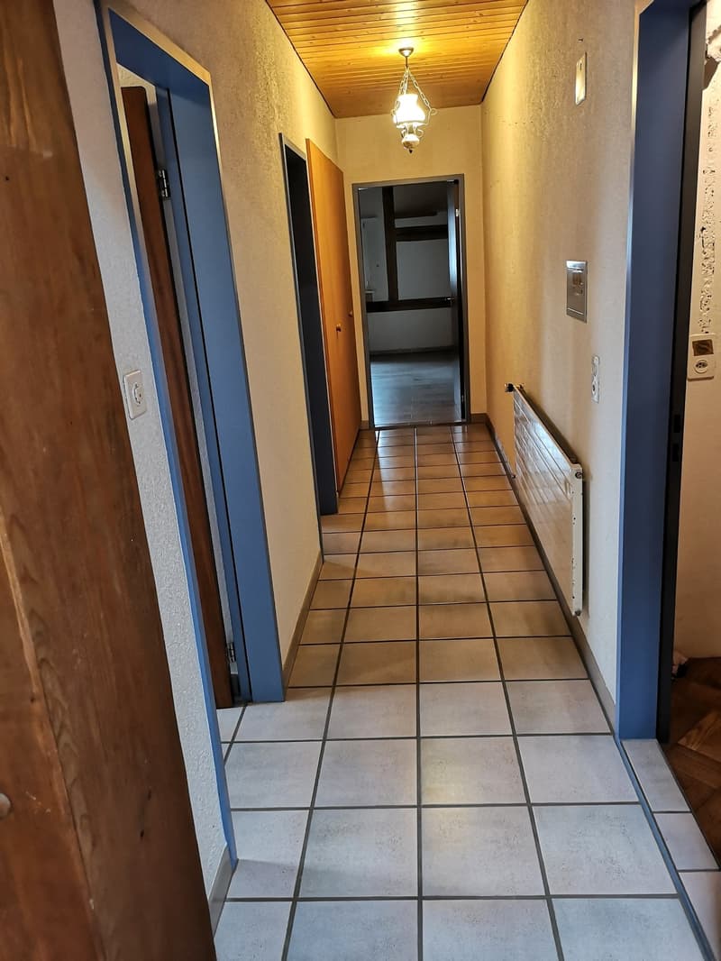 Baisse de prix : grand duplex au centre du village avec garage et atelier, libre de suite (16)