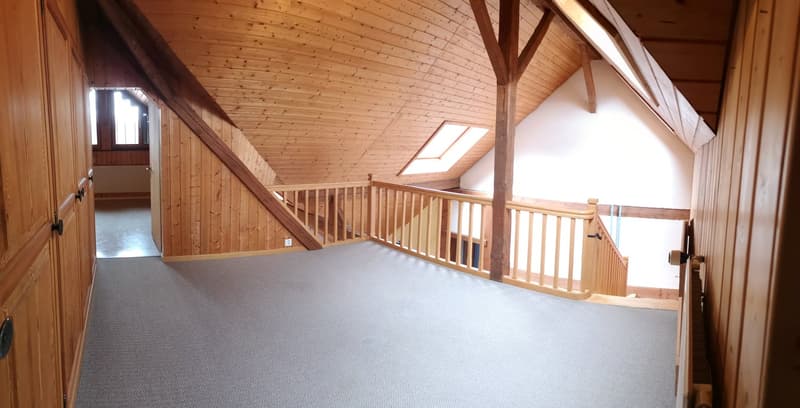 Baisse de prix : grand duplex au centre du village avec garage et atelier, libre de suite (25)