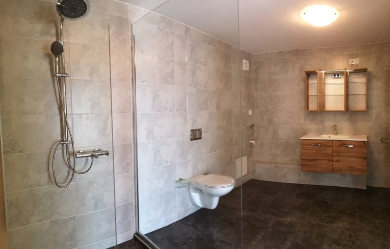 Magnifique appartement de 4,5 pièces avec terrasse et véranda, jardin 200m2 en option (16)