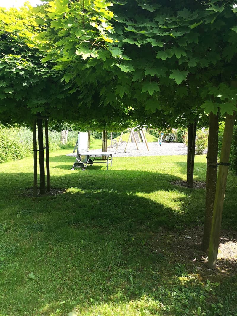 Magnifique duplex soigné de 4,5 pièces à Cudrefin, proche du lac (7)