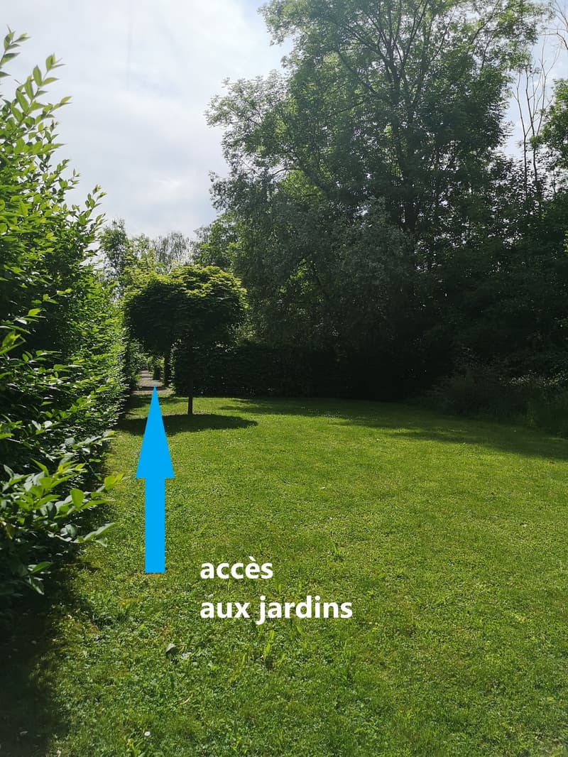 Magnifique duplex soigné de 4,5 pièces à Cudrefin, proche du lac (8)