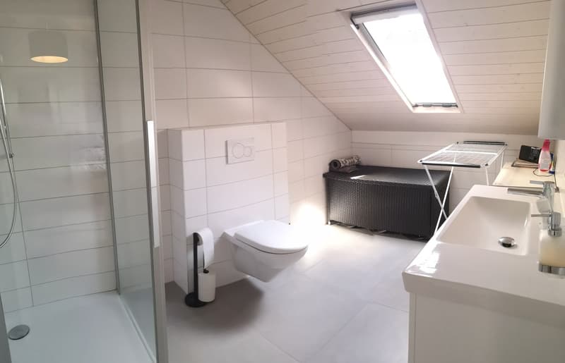 Magnifique duplex soigné de 4,5 pièces à Cudrefin, proche du lac (26)
