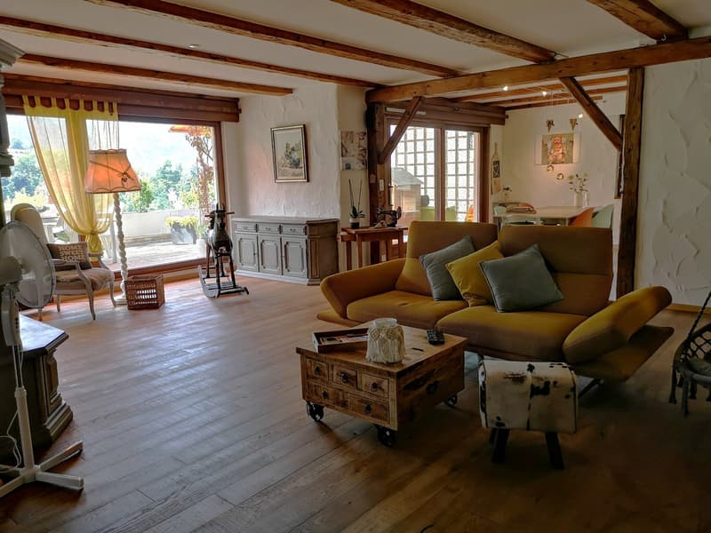 Spacieux appartement-terrasse de 5.5 pièces à Moutier avec vue dégagée, 2 garages (19)