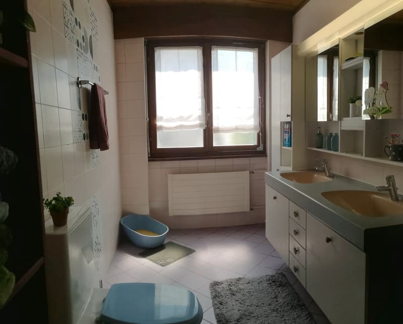Spacieux appartement-terrasse de 5.5 pièces à Moutier avec vue dégagée, 2 garages (32)