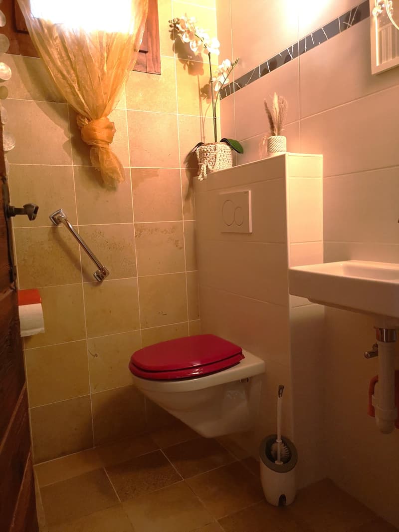 Spacieux appartement-terrasse de 5.5 pièces à Moutier avec vue dégagée, 2 garages (17)