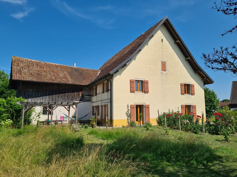 Spacieuse maison avec jardin, écurie, grange / Geräumiges Haus mit Garten, Stall, Scheune (1)