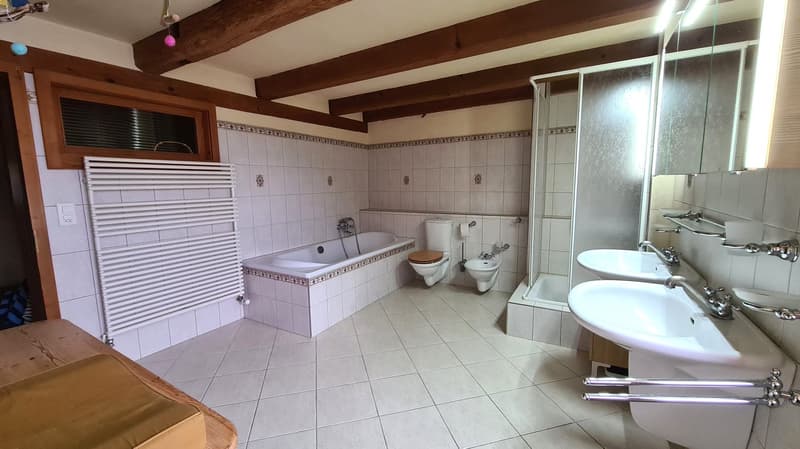 Spacieuse maison avec jardin, garage, grange / Geräumiges Haus mit Garten, Garage, Scheune (35)