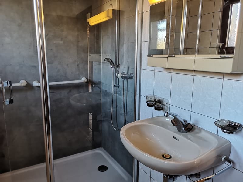 Baisse de prix : maison 5.5pces, env. 120m2, terrain 802m2, avec garage, places de parc, terrasse (20)