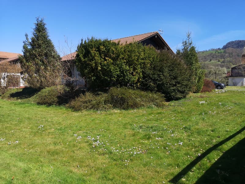 Baisse de prix : maison 5.5pces, env. 120m2, terrain 802m2, avec garage, places de parc, terrasse (5)