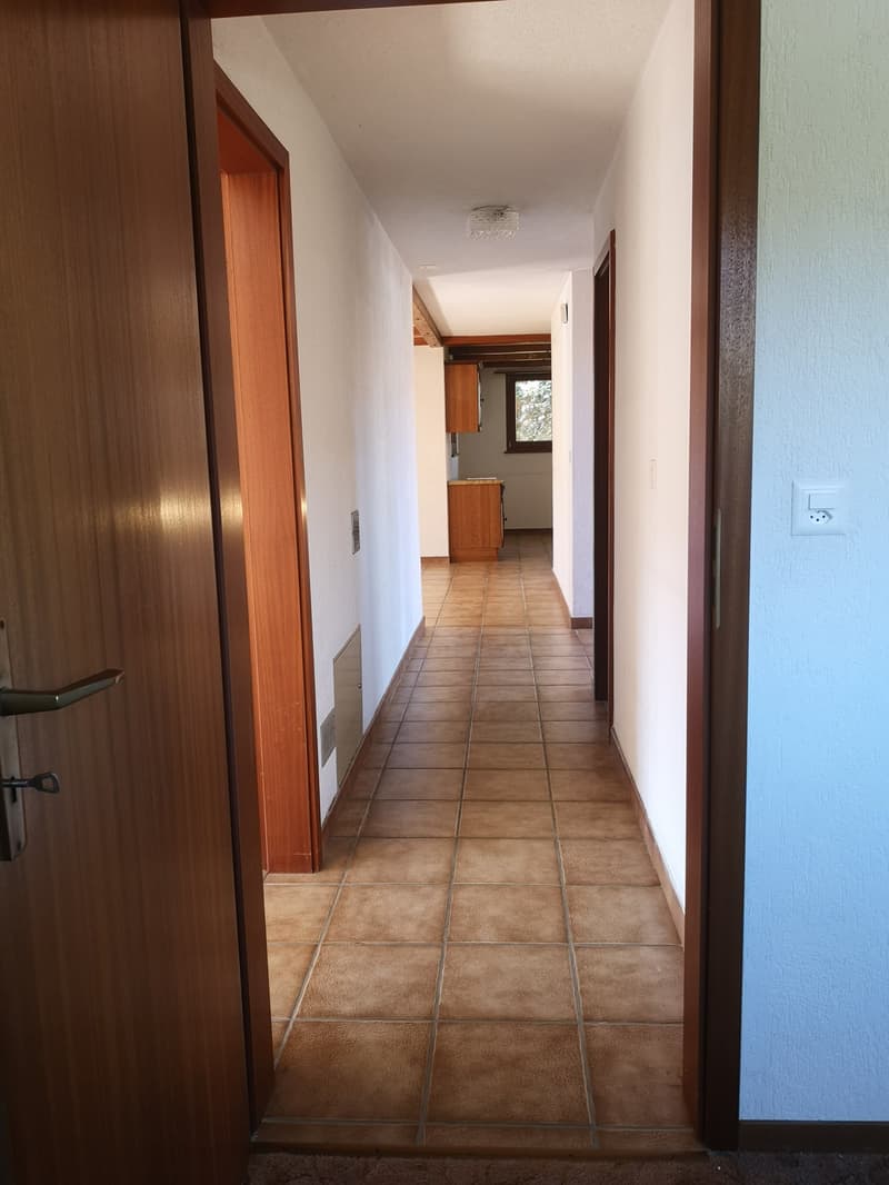 Baisse de prix : maison 5.5pces, env. 120m2, terrain 802m2, avec garage, places de parc, terrasse (15)
